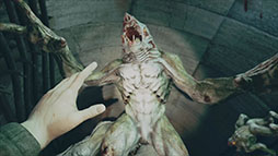 ꡼ No.004Υͥ / ֥ȥ åפΥץ⡼ࡼӡ2Ƥˡ꡼㡼ȤƮѤͻҤʤɡŪʾ̤Ͽ