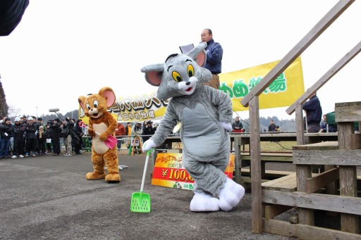 ꡼ No.005 | ֥ȥȥ꡼ ȥ쥸㡼פĤҾ귡ȥܼ»