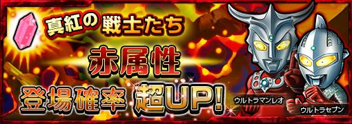 #004Υͥ/֥ȥޥ ѥ뺲פΥ쥢ˡȥȥޥ쥪ɤо