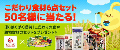 ������#001�Υ���ͥ���/�֥ϥåԡ��٥��ե�ס������ʪ�Υ��åȤ�������ץ쥼��ȥ����ڡ���»�