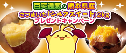 画像ギャラリー No.001のサムネイル画像 / 「ハッピーベジフル」で“熊本原産さつまいも シルクスイート2kg”が当たるイベント