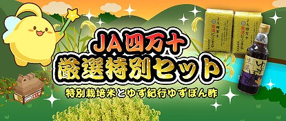 ꡼ No.001 | ֥ϥåԡ٥եס̺ƤȤ椺ݥݤ륭ڡ»