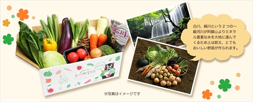 画像ギャラリー No.002のサムネイル画像 / 「ハッピーベジフル」,「熊本原産冬野菜セット」プレゼントキャンペーンを実施