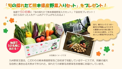 ꡼ No.002Υͥ / ֥ϥåԡ٥եפƤbyGMOǥӥϡǰ»