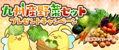 画像ギャラリー No.001のサムネイル画像 / 「ハッピーベジフル」で九州産野菜セットが当たるキャンペーン開催