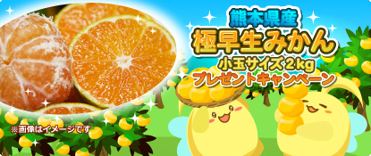 画像ギャラリー No.001のサムネイル画像 / 「ハッピーベジフル」,極早生みかん(小玉サイズ)2kgがプレゼント