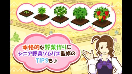 ハッピーベジフル