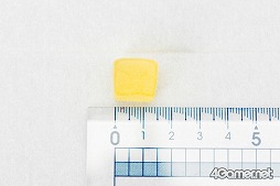 ꡼ No.007 | ζǡߡפĤȯ䡣ζǡץ꡼餷ˤդܥߤºݤ˥ȤƤߤ