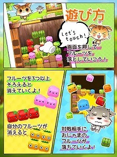 ねこねこフルーツ♪