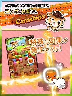 ねこねこフルーツ♪