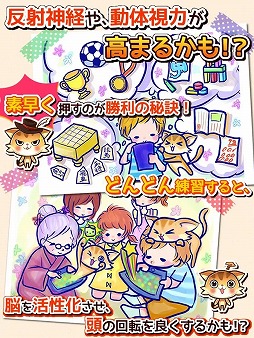 ねこねこフルーツ♪