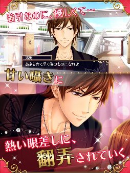 �ϥˡ��ߥȥ�åס�Ͷ�ǤΥ���������櫡�