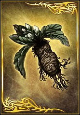 画像ギャラリー No.003のサムネイル画像 / 「真・三國無双ブラスト」が「よるのないくに」とコラボ。SRアーナスが登場