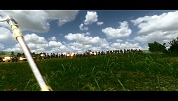 ���������꡼ No.003�Υ���ͥ������ / �֥ޥ���ȡ��֥졼�� �ʥݥ쥪�˥å� ���������ס��ץ��⡼�����ࡼ�ӡ�����