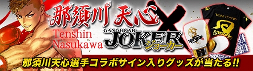 ���������꡼ No.004�Υ���ͥ������ / �֥��硼�����ס�RISE�����ե������鲦�� �����ŷ������ȤΥ���ܴ���»�