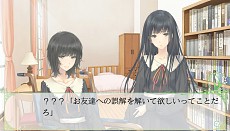 ꡼ No.010 | PS Vita/PSPFLOWERSס٤ʥåǡȾãͧȽ㰦ɤץ˥󥰥ࡼӡŵɥCD³