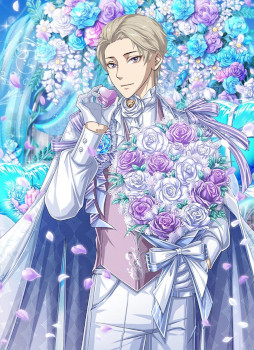 ���������꡼ No.012�Υ���ͥ������ / �ֵ��ͥ��쥷�ס�12��ǯ�����ڡ���򳫺�