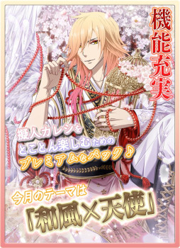 ���������꡼ No.013�Υ���ͥ������ / �ֵ��ͥ��쥷�ס�12��ǯ�����ڡ���򳫺�