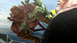 画像集#008のサムネイル/「お姉チャンバラZ2 〜カオス〜」のPVが公開。神楽&沙亜也,彩&咲の両姉妹によるハイスピードなアクションシーンを収録