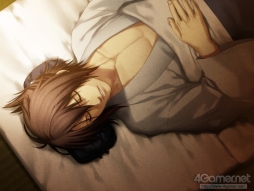 ꡼ No.014 | ֲå4Gamer83ADV ڥξϡפýȤͤäȤʪᥤʤθ