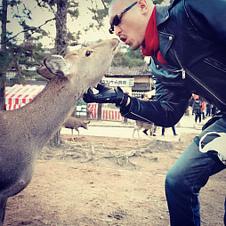 ���������꡼ No.004�Υ���ͥ������ / �ޥե������Ĥ��󼡸����褤������437��֤ܤ�������2018ǯ�α�Ĺ���