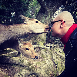 ���������꡼ No.005�Υ���ͥ������ / �ޥե������Ĥ��󼡸����褤������437��֤ܤ�������2018ǯ�α�Ĺ���