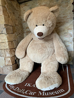 画像ギャラリー No.003のサムネイル画像 / マフィア梶田の二次元が来い!:第462回「無限のテロメアに刻んだ伊香保のミュージアム」