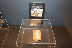 ���������꡼ No.024�Υ���ͥ������ / ��Fate/Grand Order -������������Хӥ��˥�-Ÿ�פ����Ƥ�ե��ȥ�ݡ��ȷ����Ǥ��Ϥ�