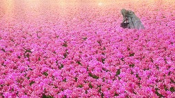 ���������꡼ No.002�Υ���ͥ������ / �ַ���� Fate/Grand Order -���������ΰ襭�����å�-�פ���1����������������ӥ��奢�뤬����