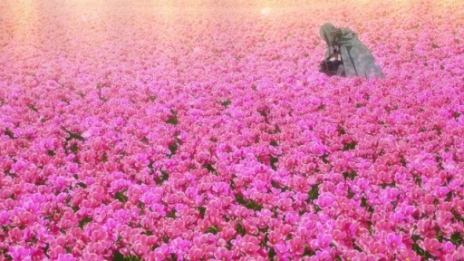 画像ギャラリー No.005のサムネイル画像 / 「そうだ アニメ,見よう」第95回は年末特番「Fate Project 大晦日TVスペシャル2019」。「鬼滅の刃」「ナルト」の一挙配信も