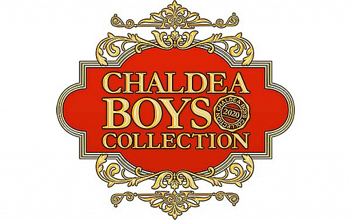 ���������꡼ No.009�Υ���ͥ������ / ��Fate/Grand Order�ס���������:Apocrypha/Inheritance of Glory -Triumphal-�פʤɡ����10�Ĥκǿ��������