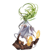 ���������꡼ No.010�Υ���ͥ������ / ��Fate/Grand Order -������������Хӥ��˥�-�ס����󥰥��δ����ʥե����奢��9��ܤ�ȯ��