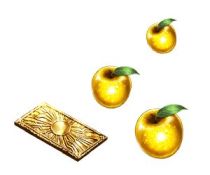 ���������꡼ No.002�Υ���ͥ������ / ��FGO�ס��糢��TV���ڥ����������ǰ�ǥ�������ܡ��ʥ������ڡ���򳫺�