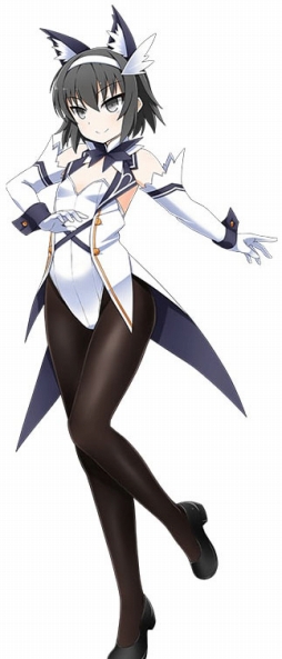 ���������꡼ No.007�Υ���ͥ������ / �֥�󥰥ɥ꡼��ס���Ϣ�磻�٥�ȡ�RISING VERSE�פ�����