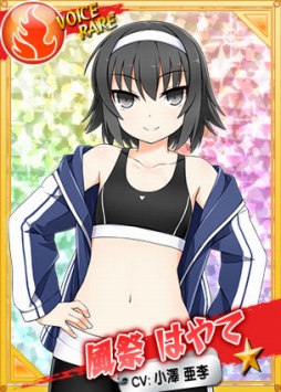 ���������꡼ No.008�Υ���ͥ������ / �֥�󥰥ɥ꡼��ס���Ϣ�磻�٥�ȡ�RISING VERSE�פ�����