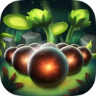 �ѥå�����