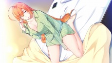 ������#003�Υ���ͥ���/�֥������Ͳ�ɱ�� ���������ݡס��������Ǥ�Ʊ��ʪ��ͽ����ŵ�����