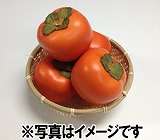 画像ギャラリー No.005のサムネイル画像 / カニを操作して柿を避けるスマホ向け「さるかに」配信開始。記念イベント実施