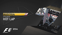 ꡼ No.003 | F1 2014ס˥롦ꥫɻ᤬åɥ֥롦󥯤ץ쥤