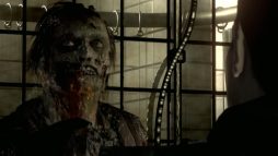 ������#004�Υ���ͥ���/��Fate/hollow ataraxia�פʤɤξ����Ҳ𤹤�Web���������Ȥ������ۿ���