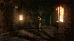 ꡼ No.024 | PlayStation 4ǡ֥Хϥ HDޥץץ쥤ݡȡǿ嵡ǤΥեåФϸԵǤȤɤ㤦ΤåƤ