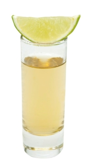 ꡼ No.006 | ץСȥѥˡ֥Х HDס֥٥졼2פοܥ˥塼о