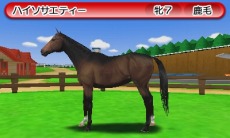 ������#017�Υ���ͥ���/�֥����ӡ������ꥪ��GOLD�ײ��꡼���Υ饤�Х��ϡ֥����ꥭ��åספȡ֥᥸���ޥå�������פ⻲���������ŵ�������ǡפξܺ٤����