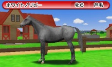 ������#018�Υ���ͥ���/�֥����ӡ������ꥪ��GOLD�ײ��꡼���Υ饤�Х��ϡ֥����ꥭ��åספȡ֥᥸���ޥå�������פ⻲���������ŵ�������ǡפξܺ٤����