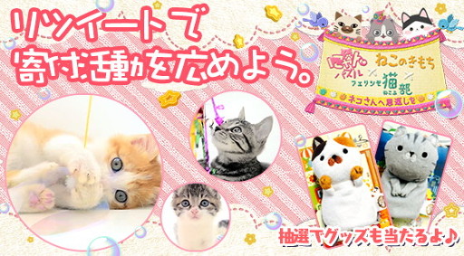 ꡼ No.002Υͥ / ֤ˤѥס֥եꥷǭס֤ͤΤפȤΥܤ»