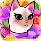 �ѥå�����