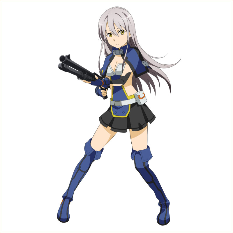 画像集 009 Sao コード レジスタ レアスカウトに ガンゲイル オンライン 編のキャラ