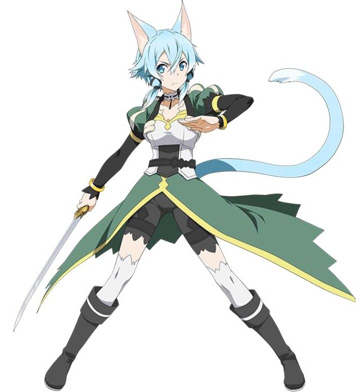 画像集 002 Sao コード レジスタ リーファとシノンが装備を交換してスカウト