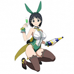 ꡼ No.008 | SAO ɡ쥸11Ϣ3󤴤Ȥ1̵ˤʤХˡ륹Ȥо