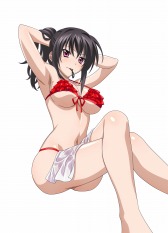 画像ギャラリー No.002のサムネイル画像 / 「ハイスクールD×D NEW FIGHT」,湯けむりイベントが本日スタート